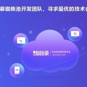 淘目录网站