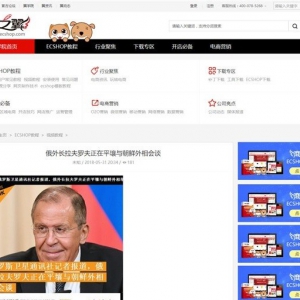 电商品牌网站
